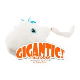 Egg Cell XL 15cm & Mini Magnetic Sperm Cell