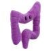 Colon plush angle