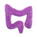 Colon plush back