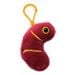 Kidney Key Ring