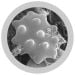 White Blood Cell microbial