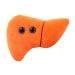 Liver plush front