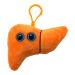 Liver key ring