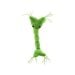 Nerve Cell plush front