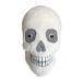 Skull plush front