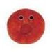 Red Blood Cell (Erythrocyte)