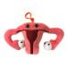 Uterus key ring