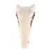 Velociraptor skull top