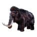 Woolly Mammoth dinosaur