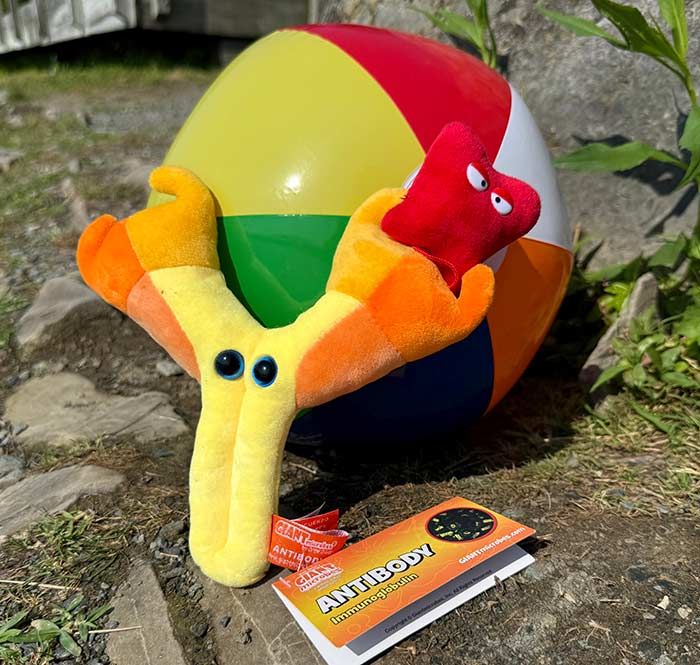 Antibody plush summer