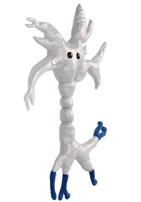 New Brain Cell gigantic plush angle