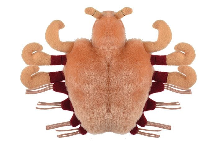 Crab Louse plush bottom