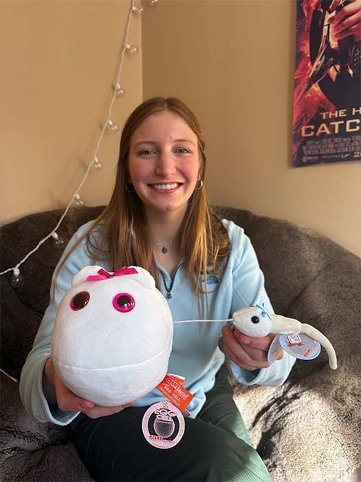 Egg and sperm plush with model