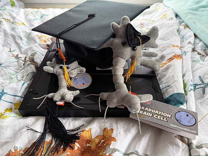 Graduation Brain Cells with cap and diploma