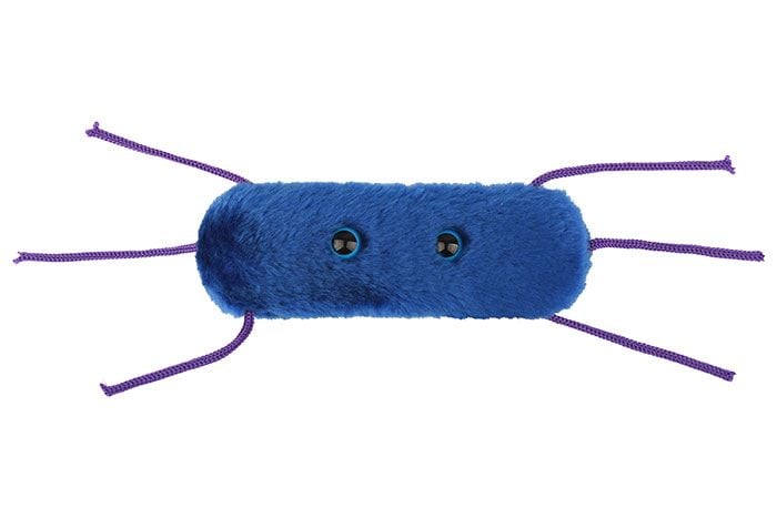 Listeria plush front