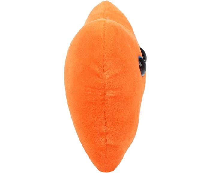 Liver plush side