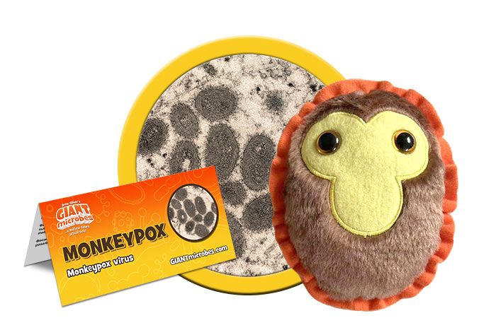 Monkeypox plush cluster