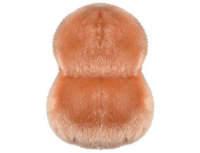 Pneumonia plush back