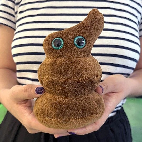 Poop plush in hand