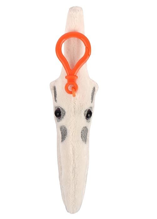 Pteranodon key chain top