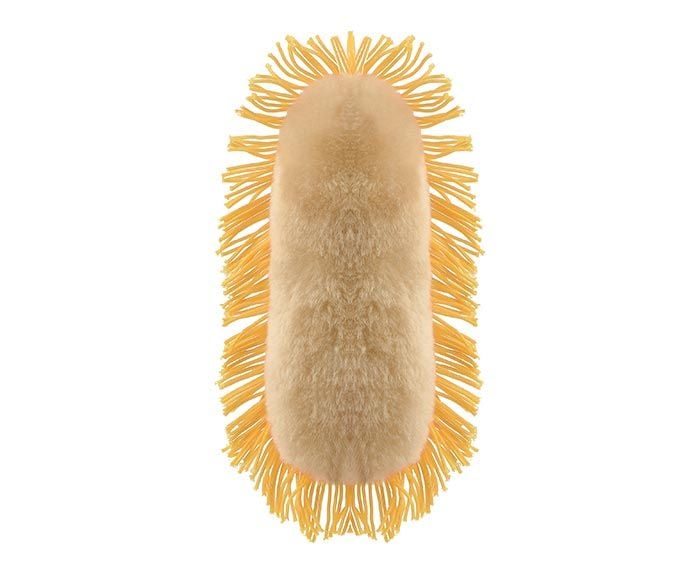 Stomach Ache plush back