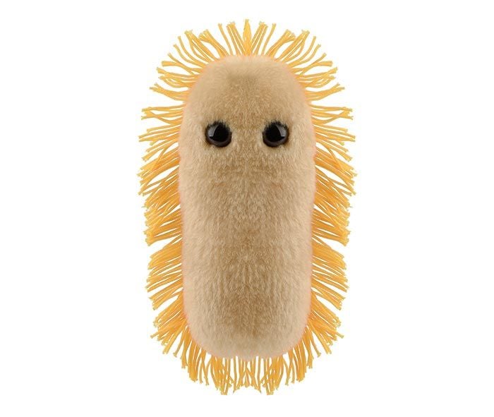 Stomach Ache plush front