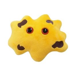 Gallstone