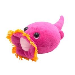 Plankton plush toy online