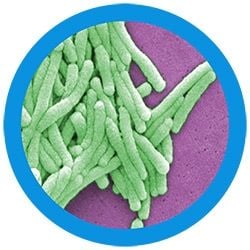 %s under a microscope!