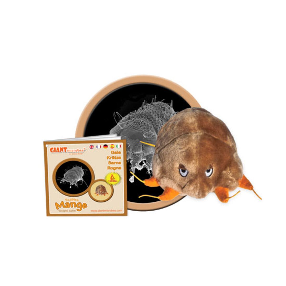 Mange (Sarcoptes scabiei)