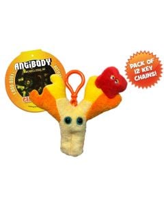 Antibody Key Ring