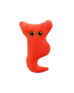 Appendix plush keychain