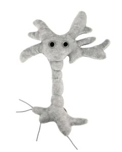 Brain Cell plush front