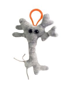 Brain Cell key ring