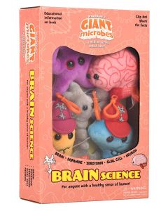 Brain Science box angle