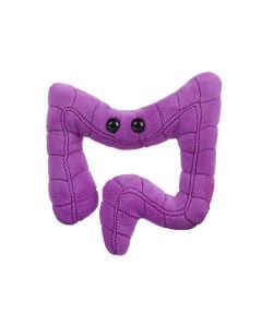 Colon plush front view