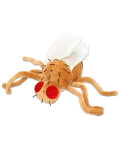 Fruit Fly plush doll