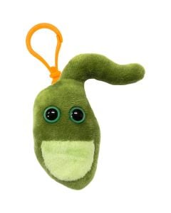 Gallbladder key ring