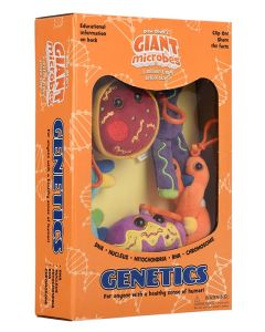 Genetics gift box