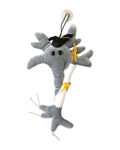 Grad Brain with Diploma plush doll