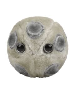 HPV plush front