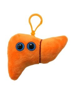 Liver key ring