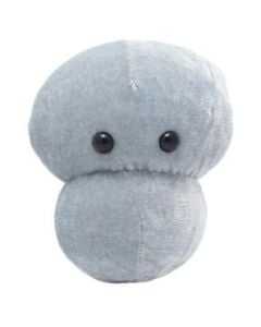 Meningitis plush doll