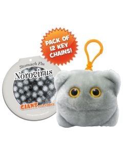 Norovirus key chain pack