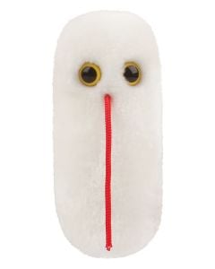 Salmonella plush front