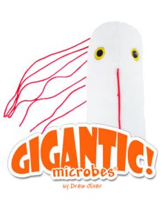 Salmonella Gigantic 48cm