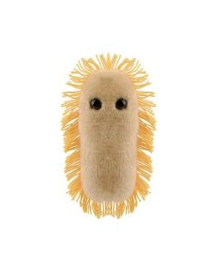 Stomach Ache plush front