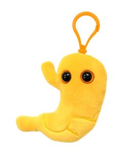 Stomach key ring