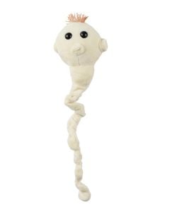 Tapeworm plush front