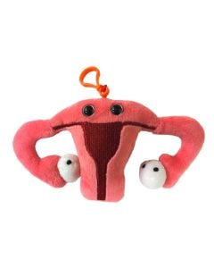 Uterus key ring